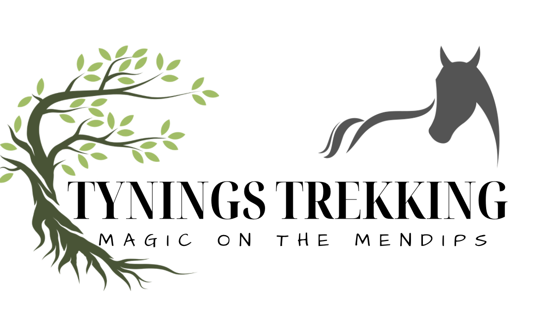 Tynings Trekking Centre Tynings Trekking Centre